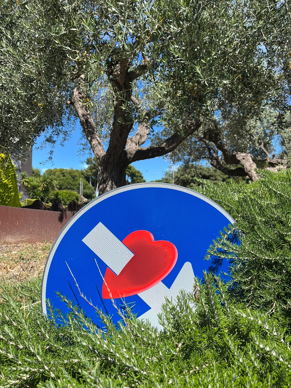 FOTO | Arriva il "Tour della street Art" a Pineto, torna Clet per una caccia al tesoro