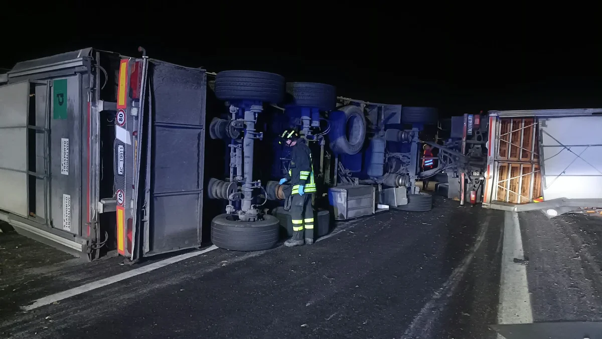 FOTO | Caos in A14 nel Teramano, si ribalta Tir che trasportava polli: illeso l'autista