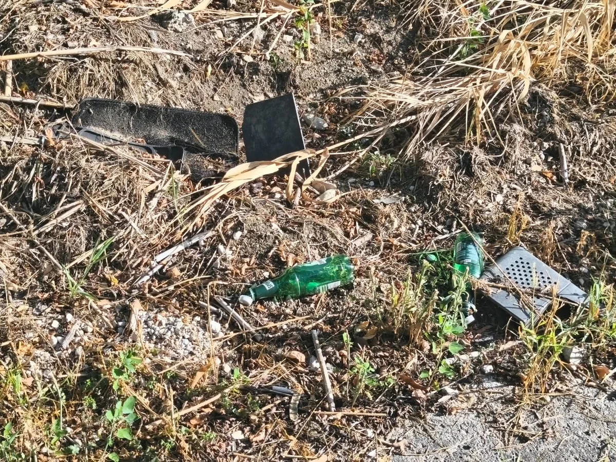 FOTO | Bomba ecologica in via Marcozzi: l'associazione ad Alta Voce preannuncia esposto