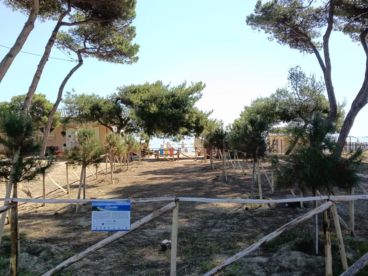 FOTO | Cambiamento climatico, a Pineto si affronta con 100 nuovi alberi
