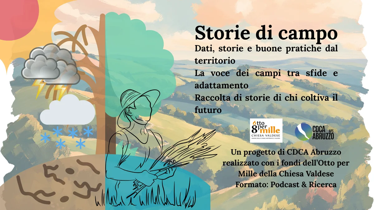 “Storie di campo”, al via la raccolta dati sugli impatti climatici in agricoltura