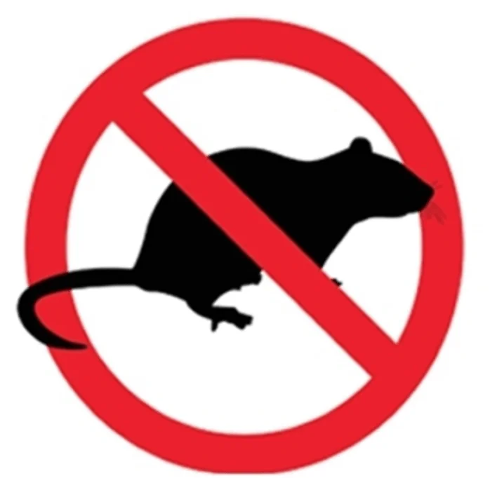 Derattizzazione su tutto il territorio comunale di Teramo