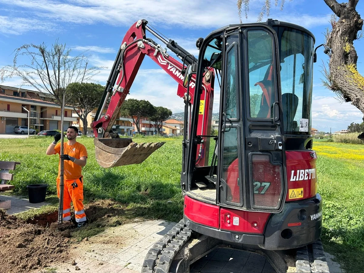 Verde pubblico: nuove piantumazioni sul lungomare di Martinsicuro