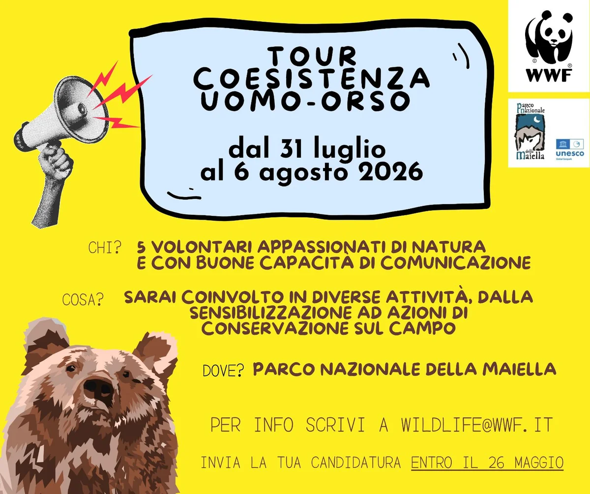 Dal 1 a 5 agosto torna il tour del WWF Abruzzo della coesistenza Uomo-Orso