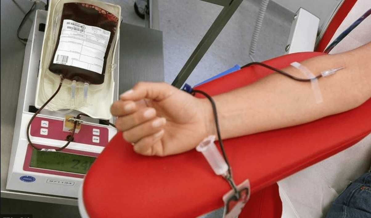 plasma sangue donatori donazione