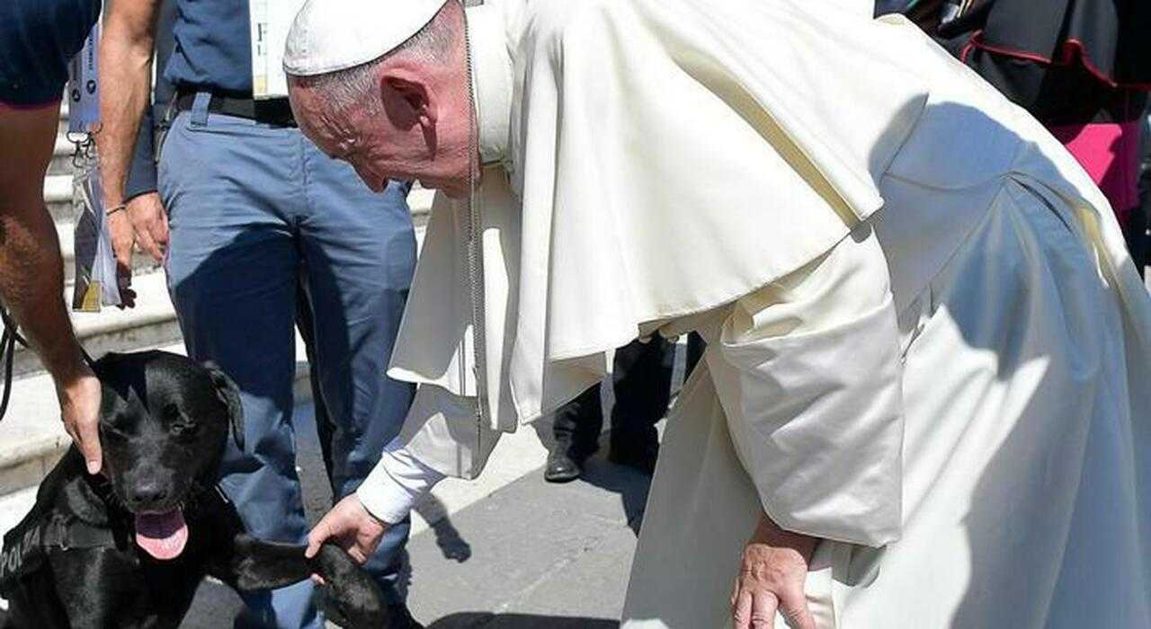 IL RUGGITO DELLA DOMENICA / Il Papa e gli animali. Sparlare senza leggere. 
